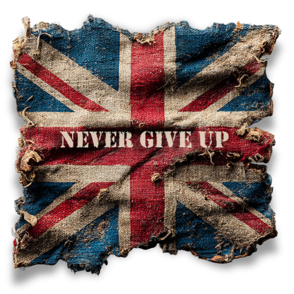 "Never Give Up" Inspirational Unisex T-Shirt – Motivational Quote Tee for Everyday Strength (UK)